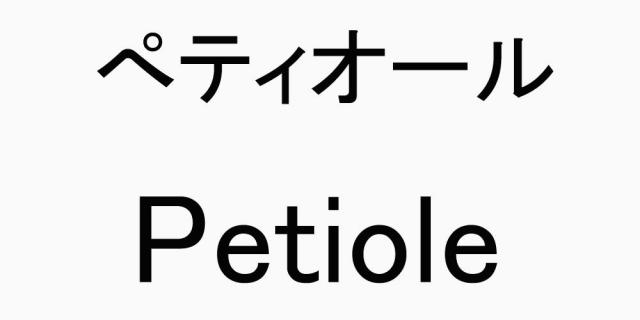 商標登録5668704