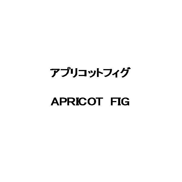 商標登録5848661