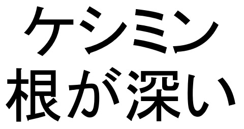 商標登録6677861
