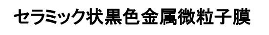 商標登録6678079