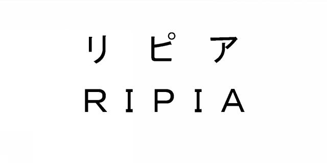 商標登録5675006