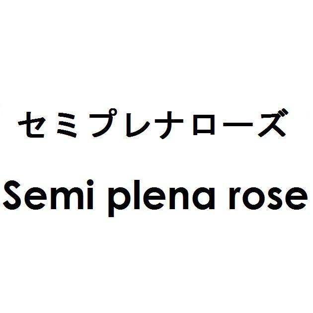 商標登録5637009