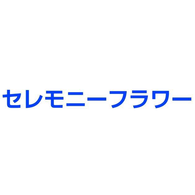 商標登録5323428