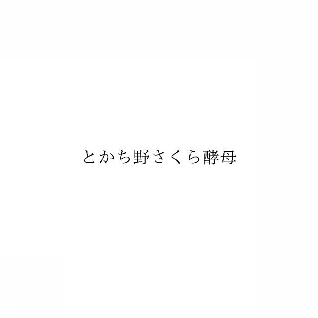 商標登録6026864