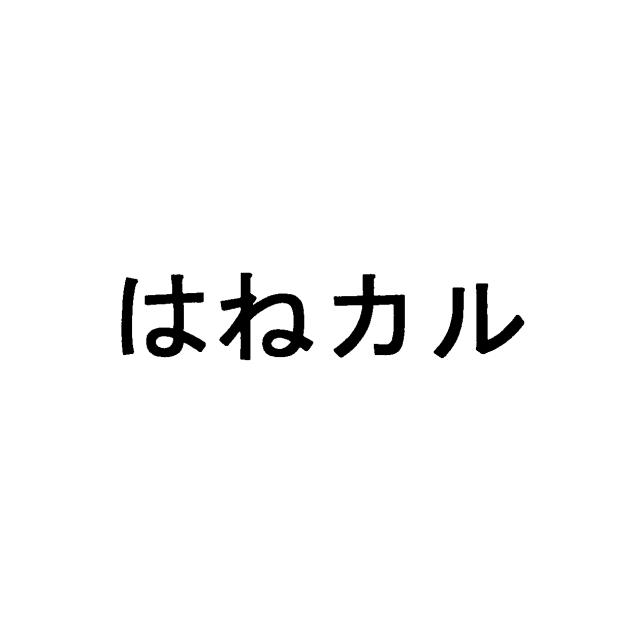 商標登録6026891