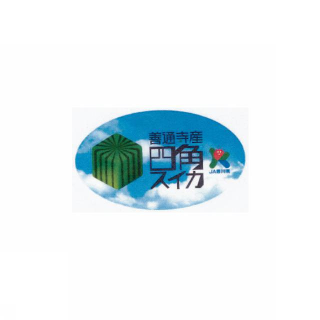商標登録5856218