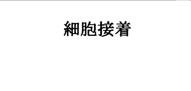 商標登録5326333