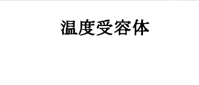 商標登録5326336