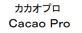 商標登録6028177