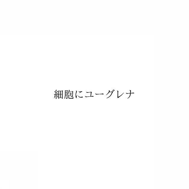 商標登録6353068