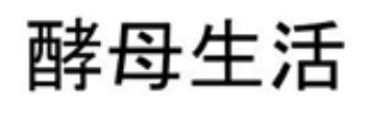商標登録5590872