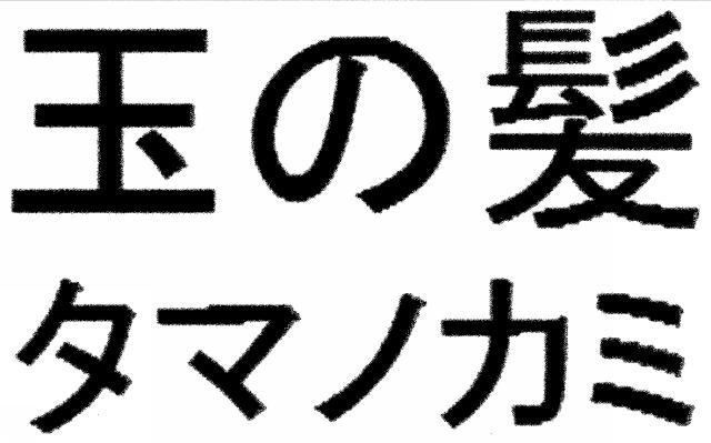 商標登録5685329