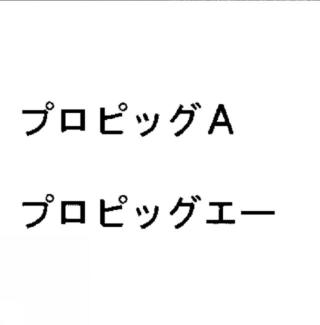 商標登録5287617