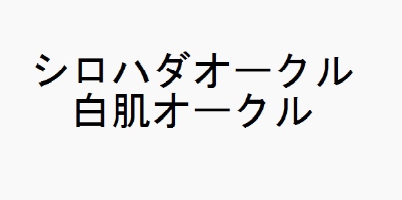 商標登録6657631