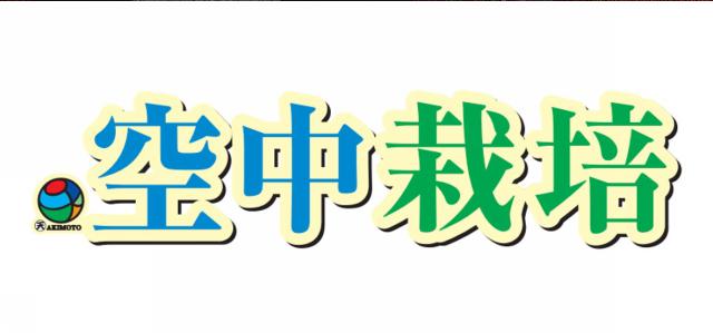 商標登録5506213
