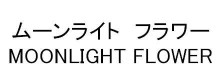 商標登録5423282