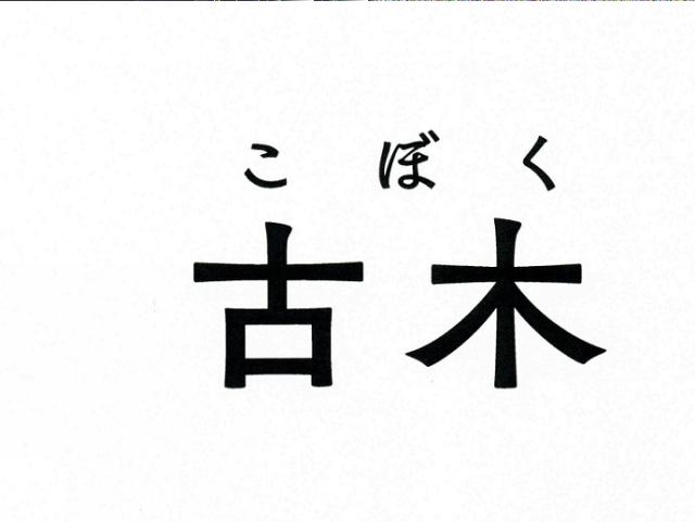 商標登録6031308