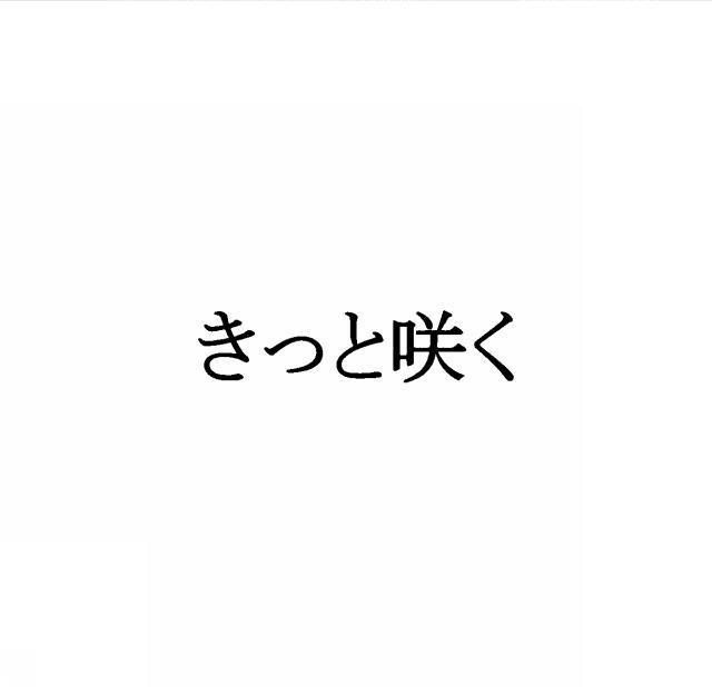 商標登録5377521