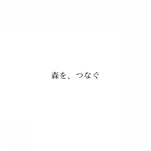 商標登録6687786