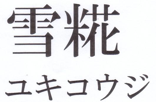 商標登録5694706