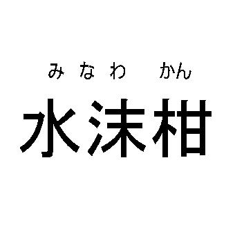 商標登録5727405