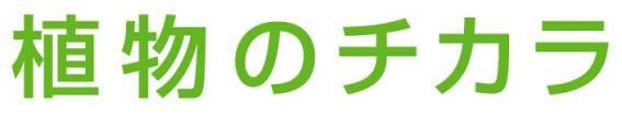 商標登録5431527