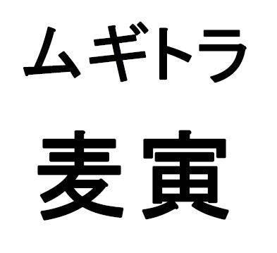 商標登録5340648