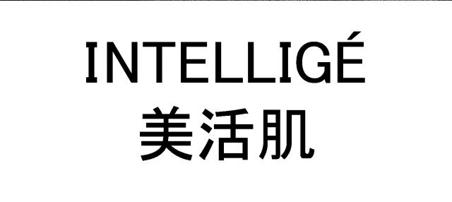 商標登録6036058
