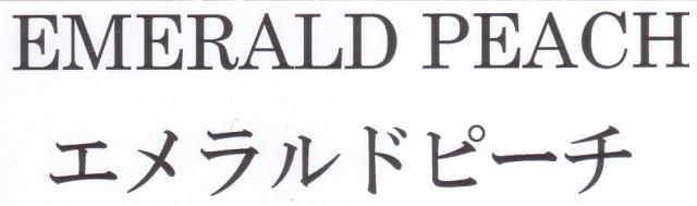 商標登録5606877