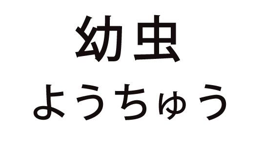 商標登録5372705