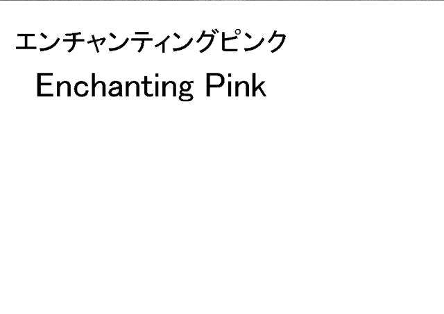 商標登録5520841