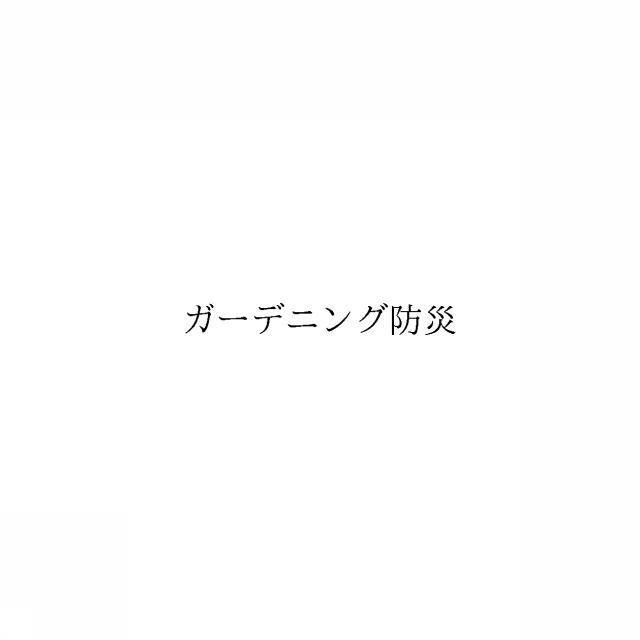 商標登録6038834