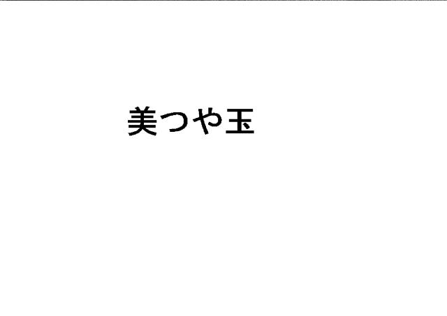 商標登録5878374