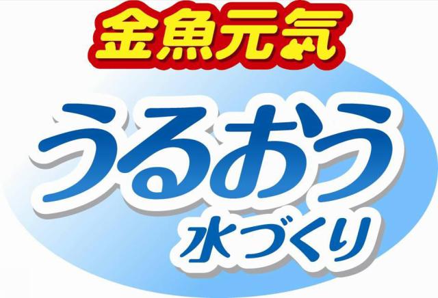 商標登録5608837