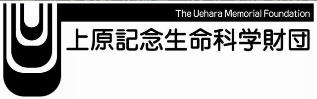 商標登録5439538