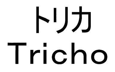 商標登録5880491