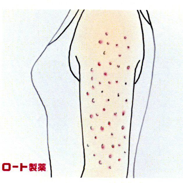 商標登録5611021