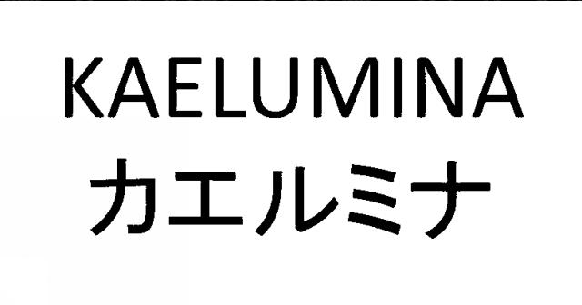 商標登録5882249