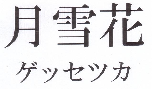 商標登録5616239