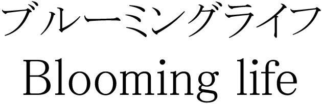 商標登録5886626