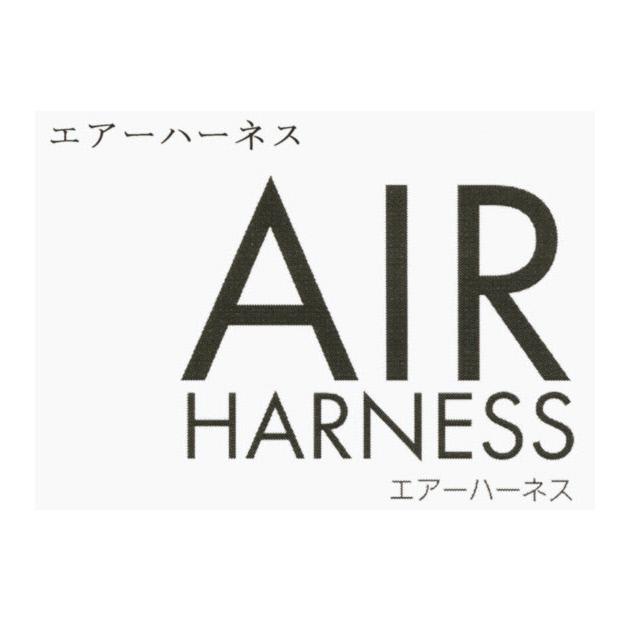 商標登録6043504