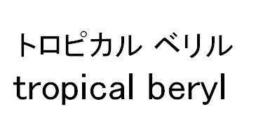 商標登録5531742