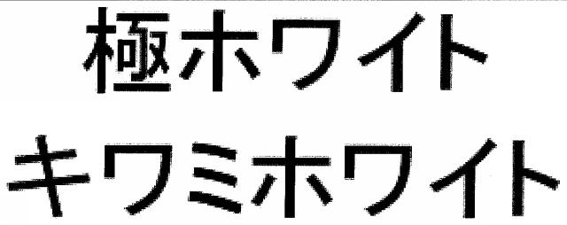 商標登録6148295