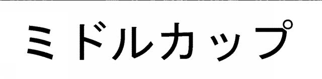 商標登録5622675