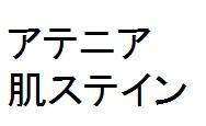 商標登録5808369