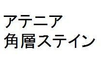 商標登録5808370