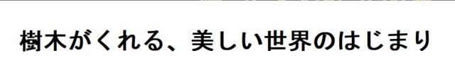 商標登録6371722