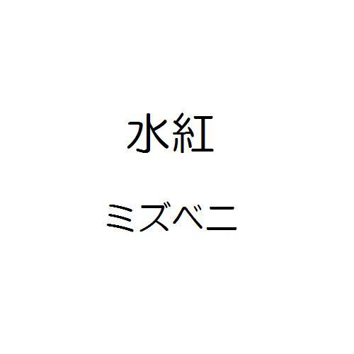 商標登録5897458