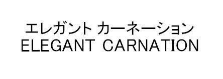 商標登録5817690