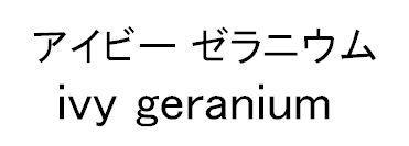 商標登録5632483